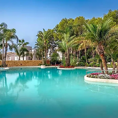 ホテル Barcelo Palms - Adults Recommended La Nucía